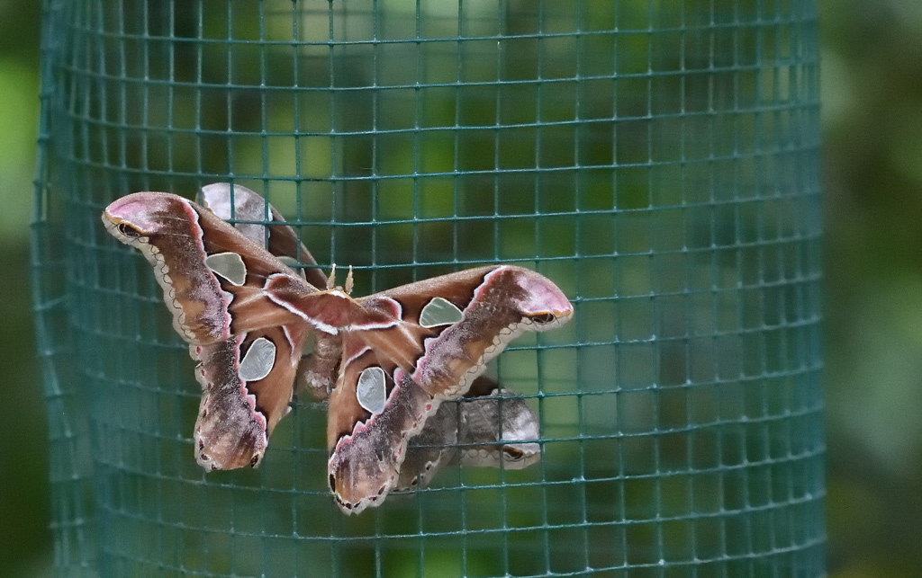 DS5_4052.jpg