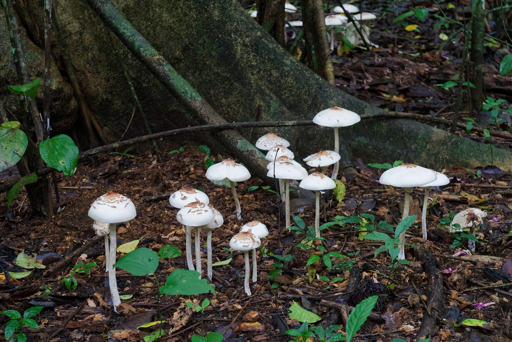 DSC_6236_DxO.JPG