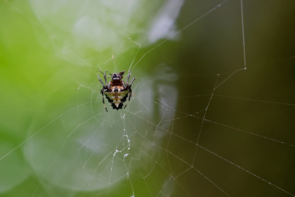 DSC_6241_DxO.JPG