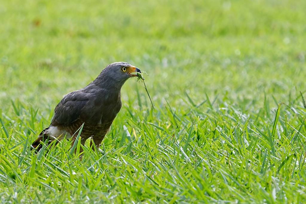 DSC_6281_DxO.JPG