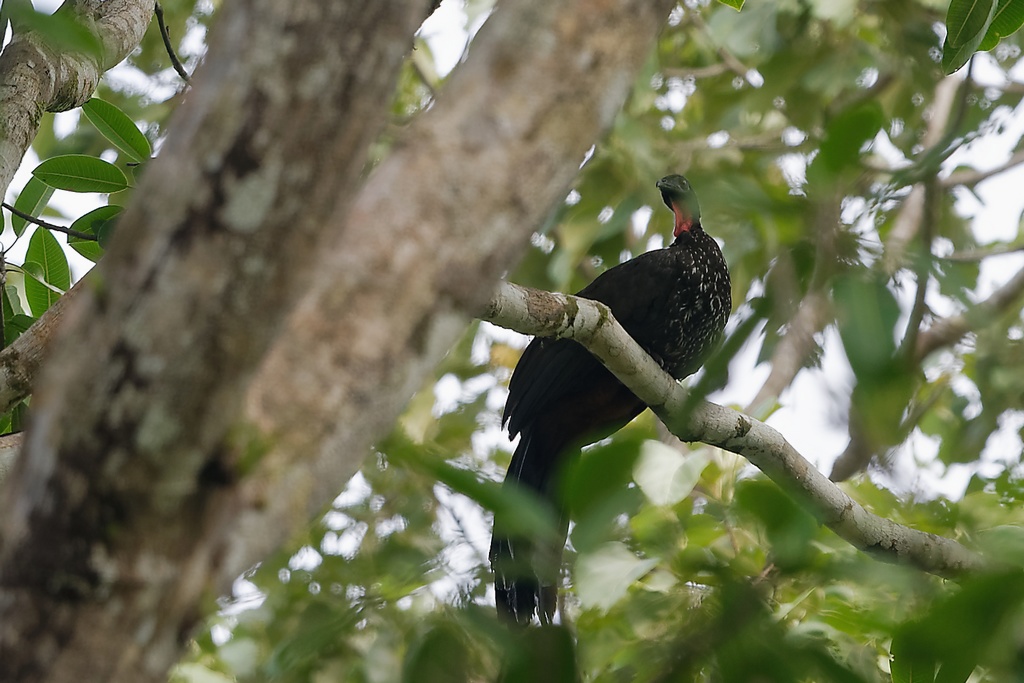 DSC_6290_DxO.JPG