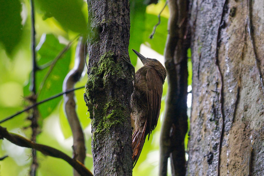 DSC_6299_DxO.JPG