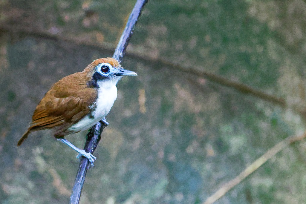 DSC_6305_DxO.JPG