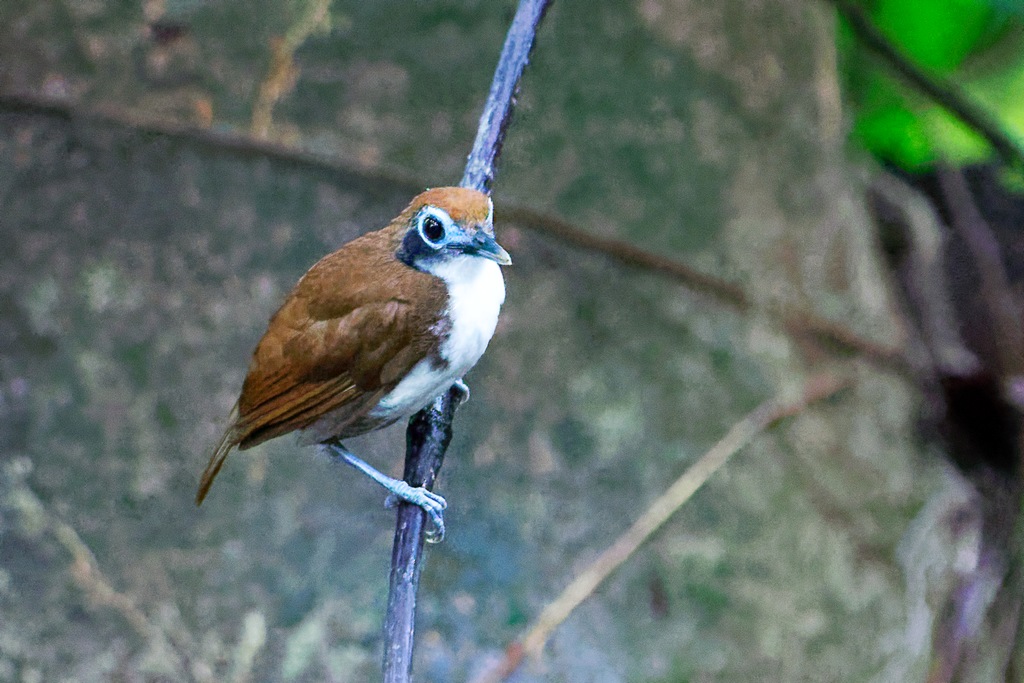 DSC_6307_DxO.JPG