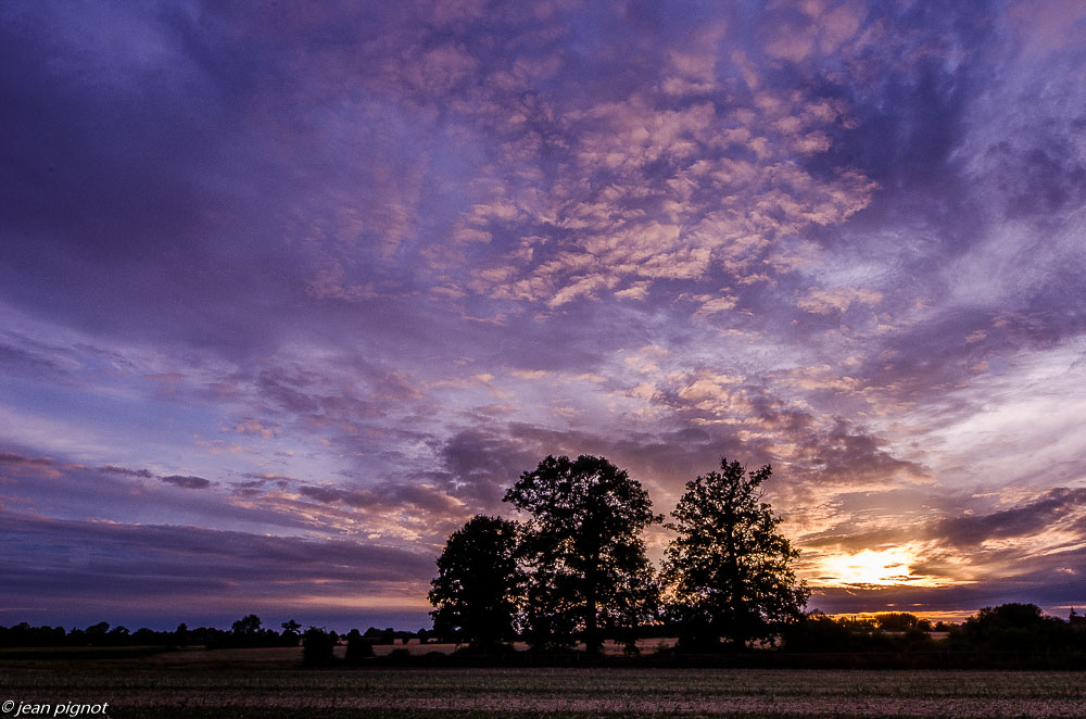 paysage soleil couchant en plaine 08 2019-2.jpg