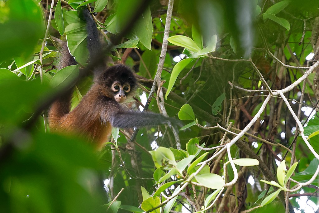 DSC_6308_DxO.JPG
