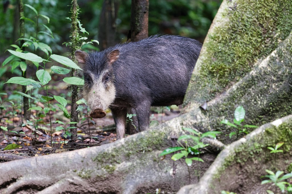 DSC_6313_DxO.JPG