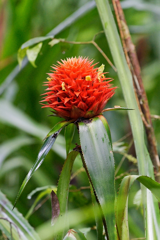 DSC_6325_DxO.JPG