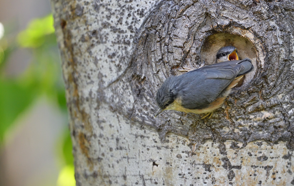 DS5_2853.jpg