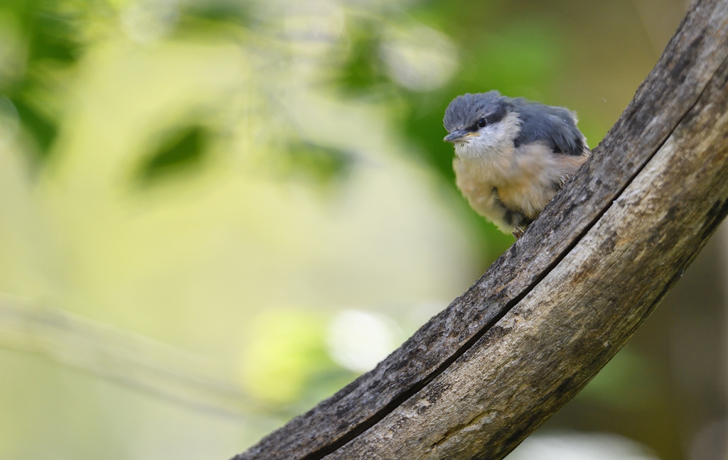 DS5_2871.jpg