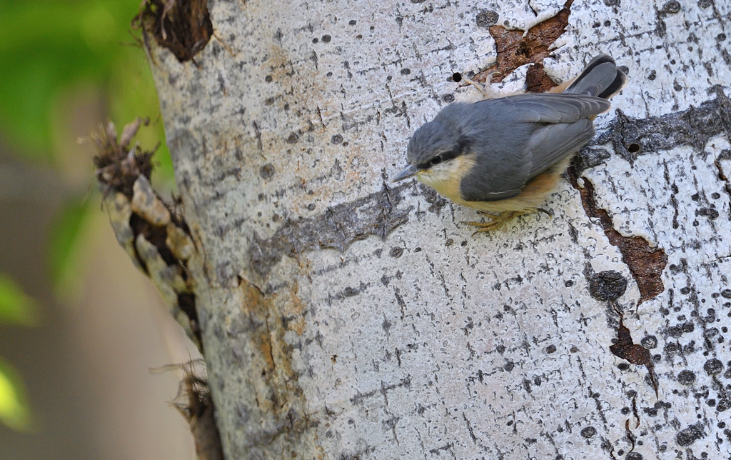 DS5_2880.jpg