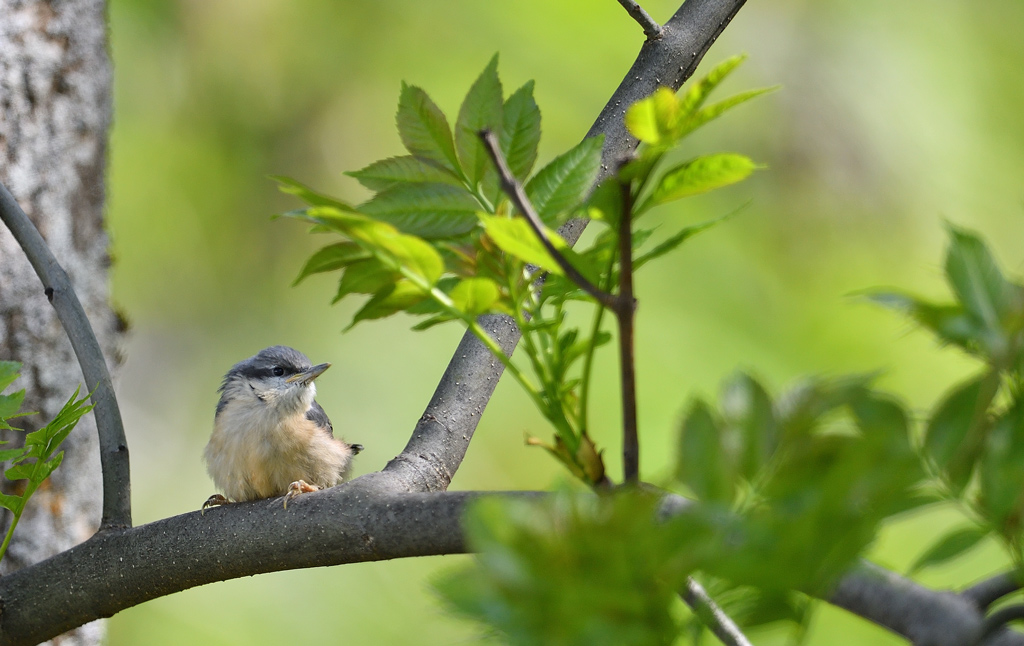 DS5_2897.jpg