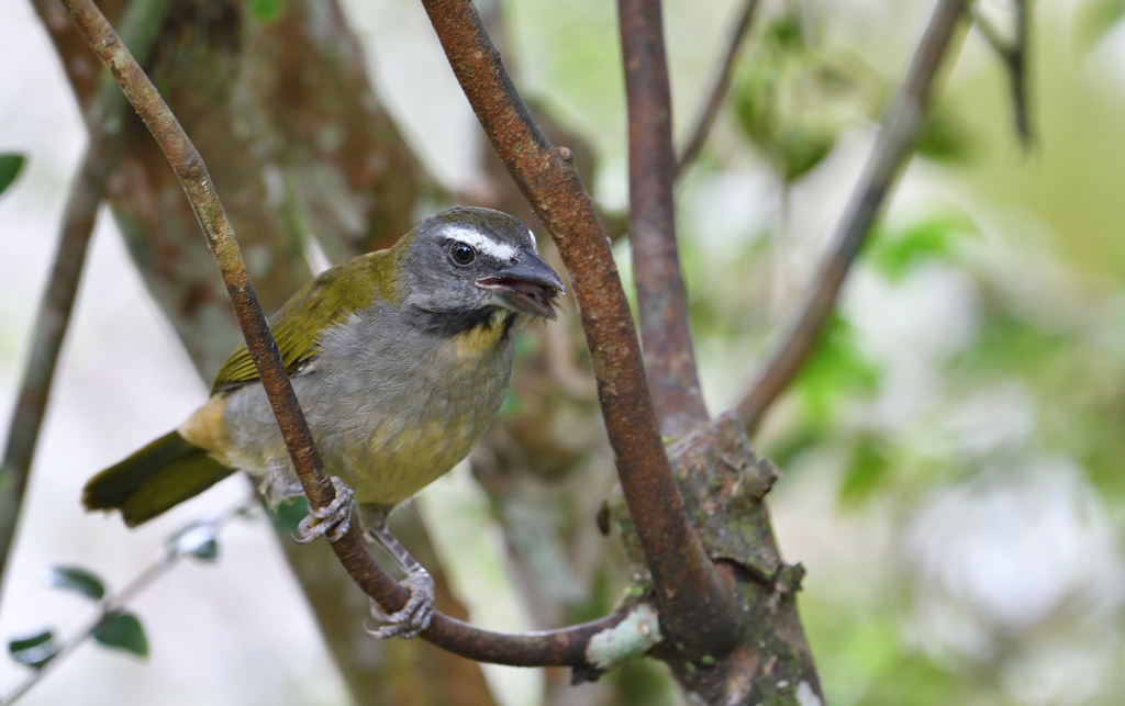 DSC_4012.jpg