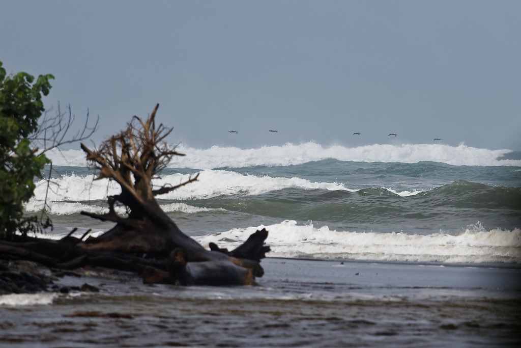 DSC_6339_DxO.JPG