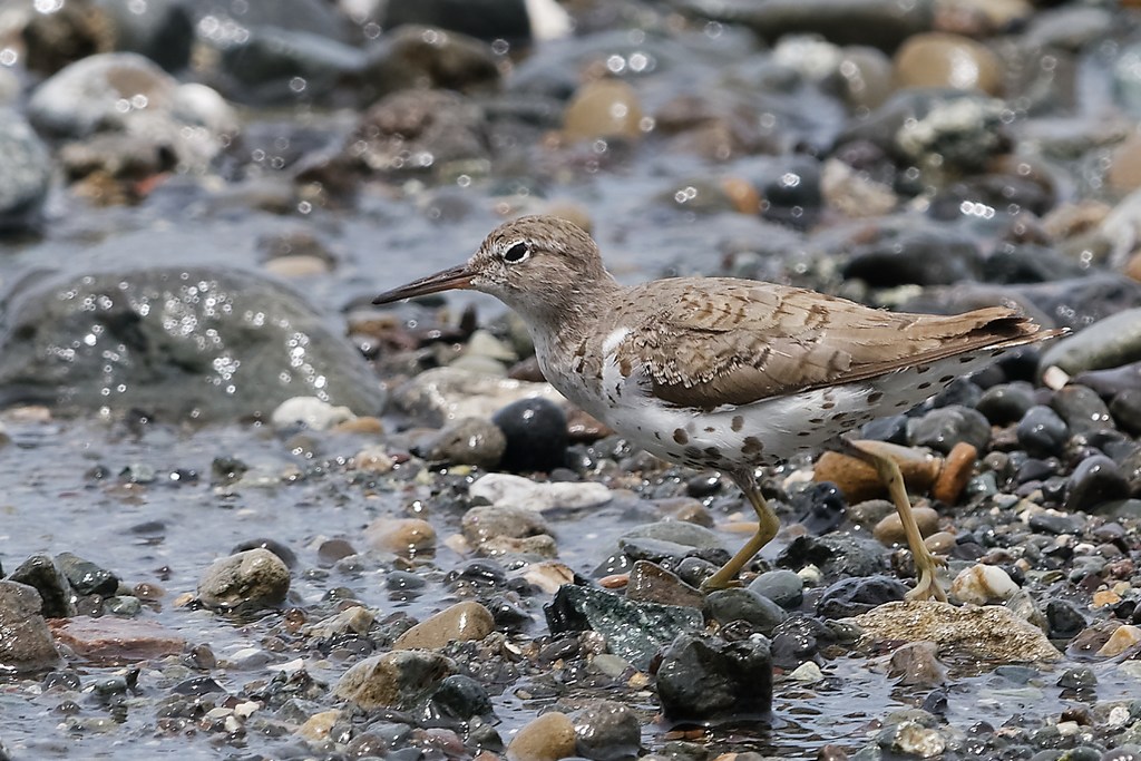 DSC_6396_DxO.JPG