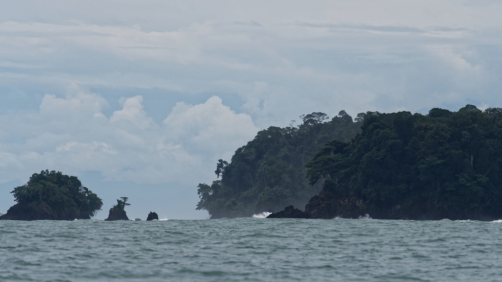DSC_6401_DxO.JPG