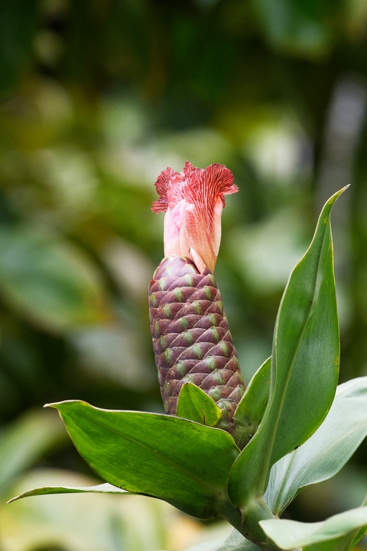 DSC_6405_DxO.JPG