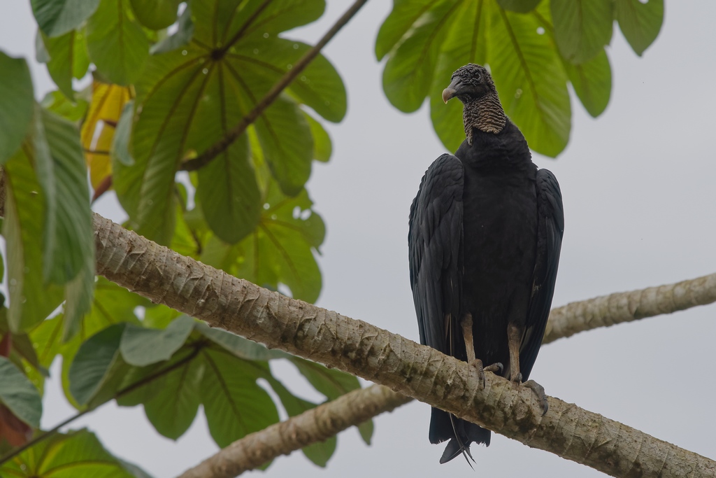 DSC_6406_DxO.JPG