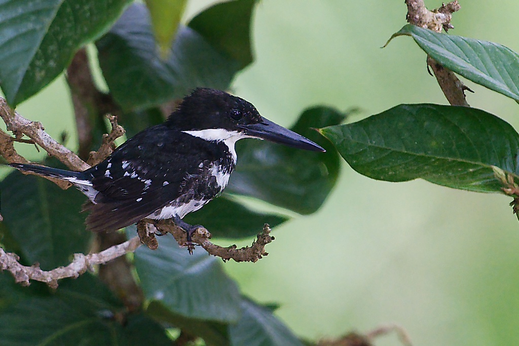 DSC_6416_DxO.JPG
