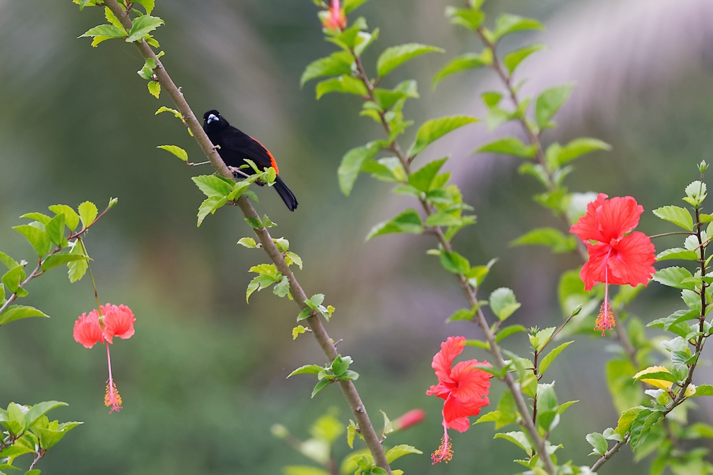 DSC_6429_DxO.JPG