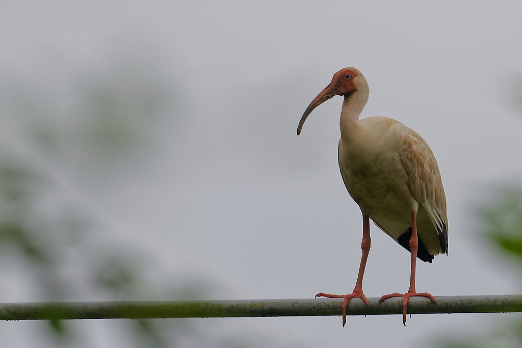 DSC_6438_DxO.JPG