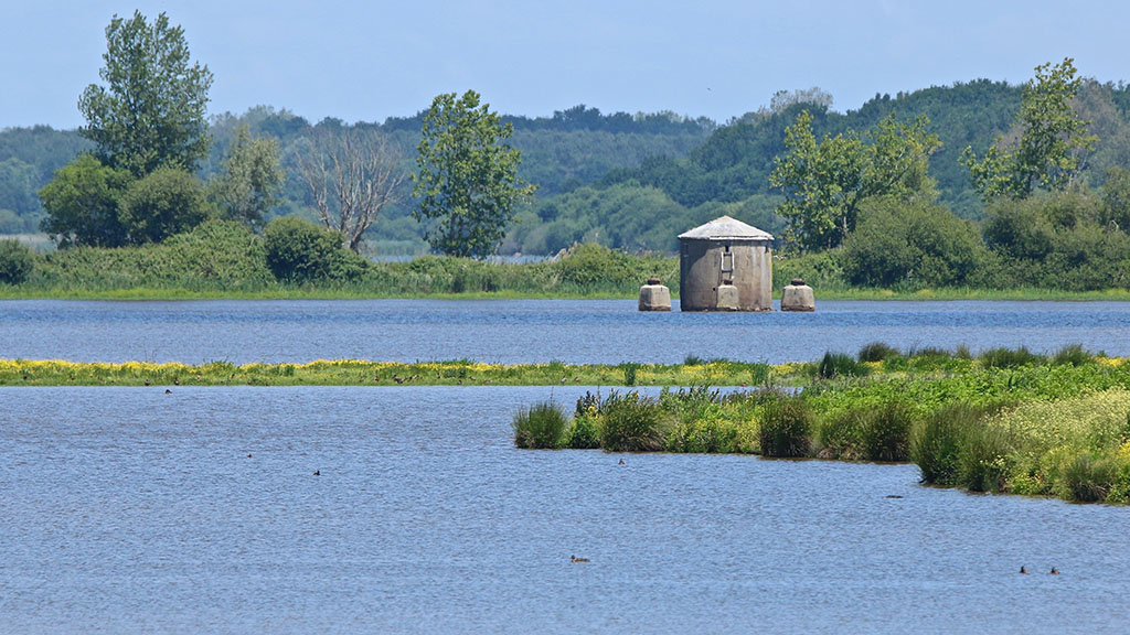 IMG_0083 copie.jpg