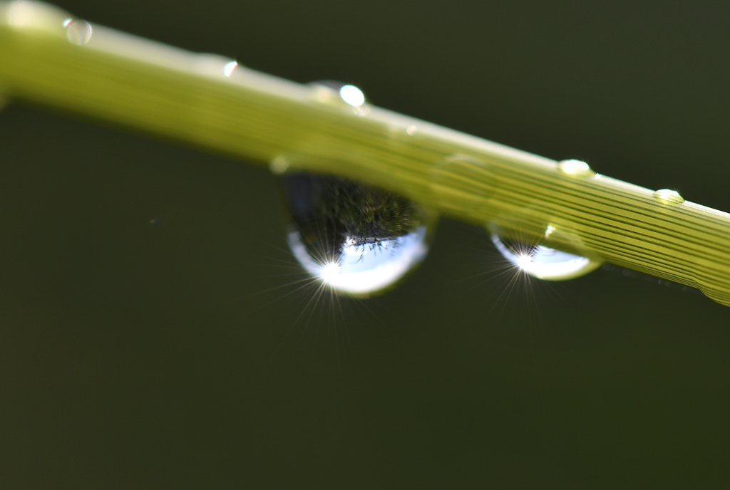 DS5_1085.jpg