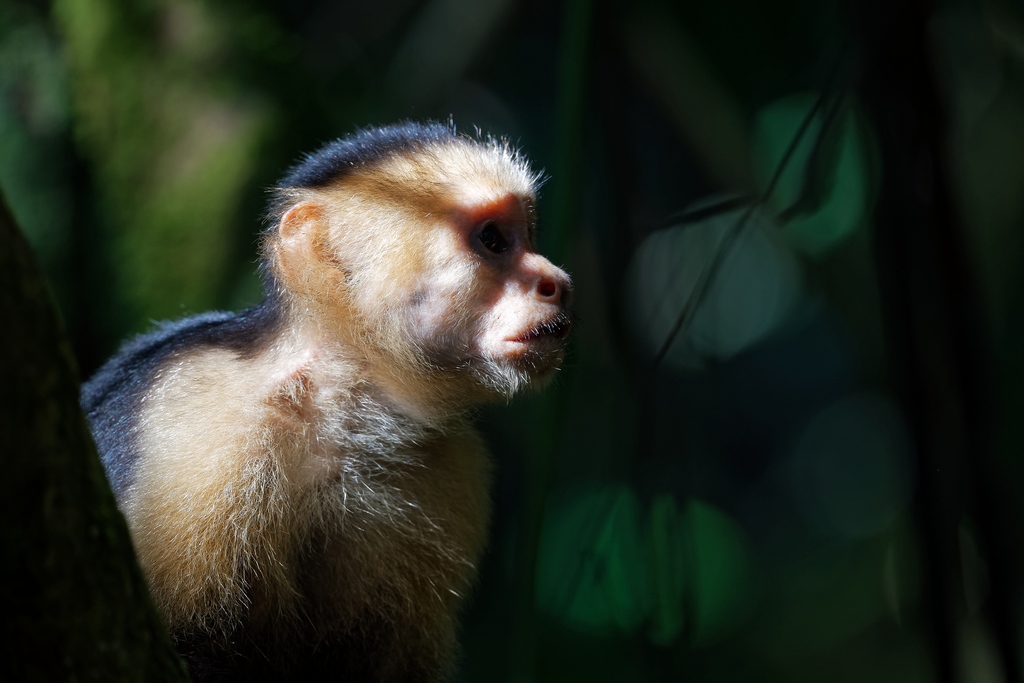 DSC_6464_DxO.JPG