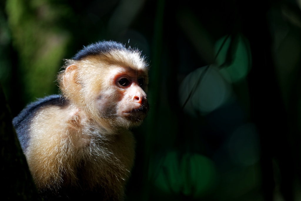 DSC_6466_DxO.JPG
