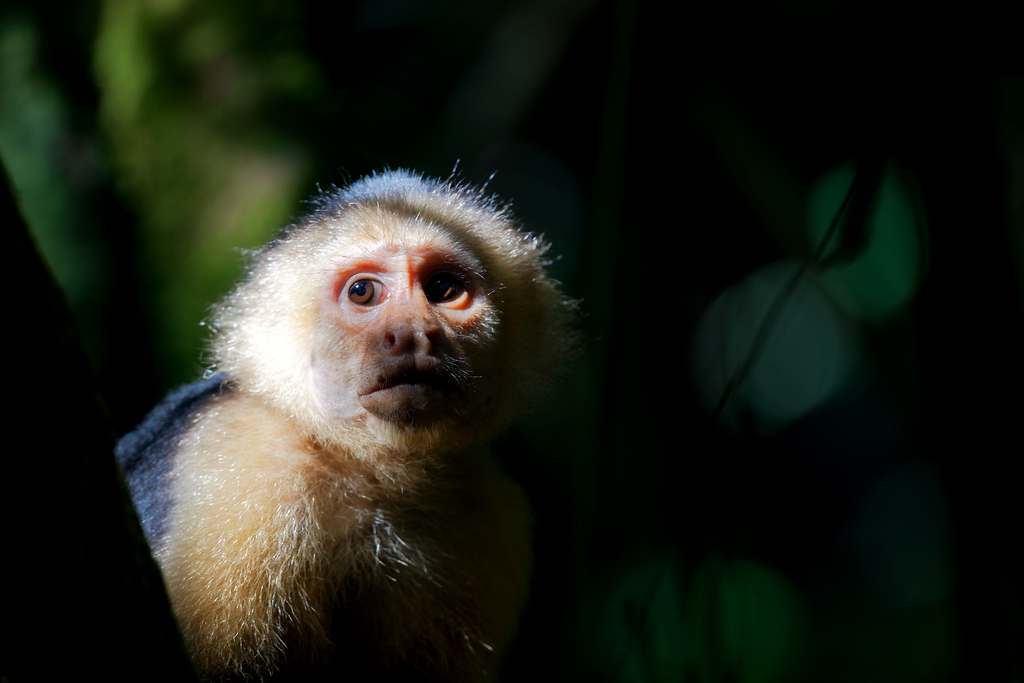 DSC_6467_DxO.jpg