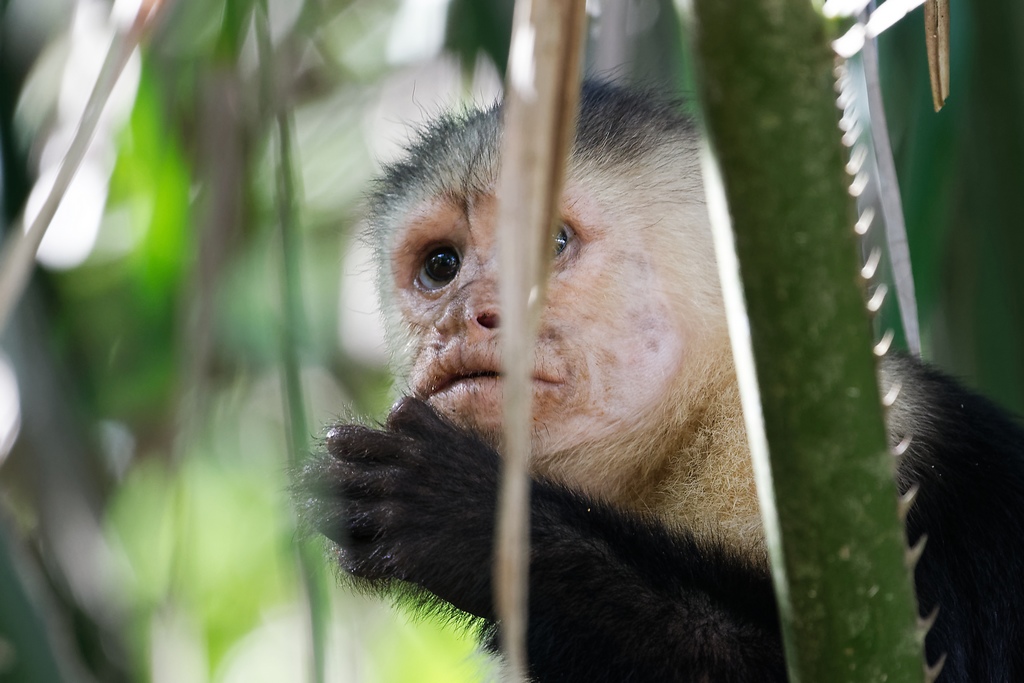 DSC_6484_DxO.JPG