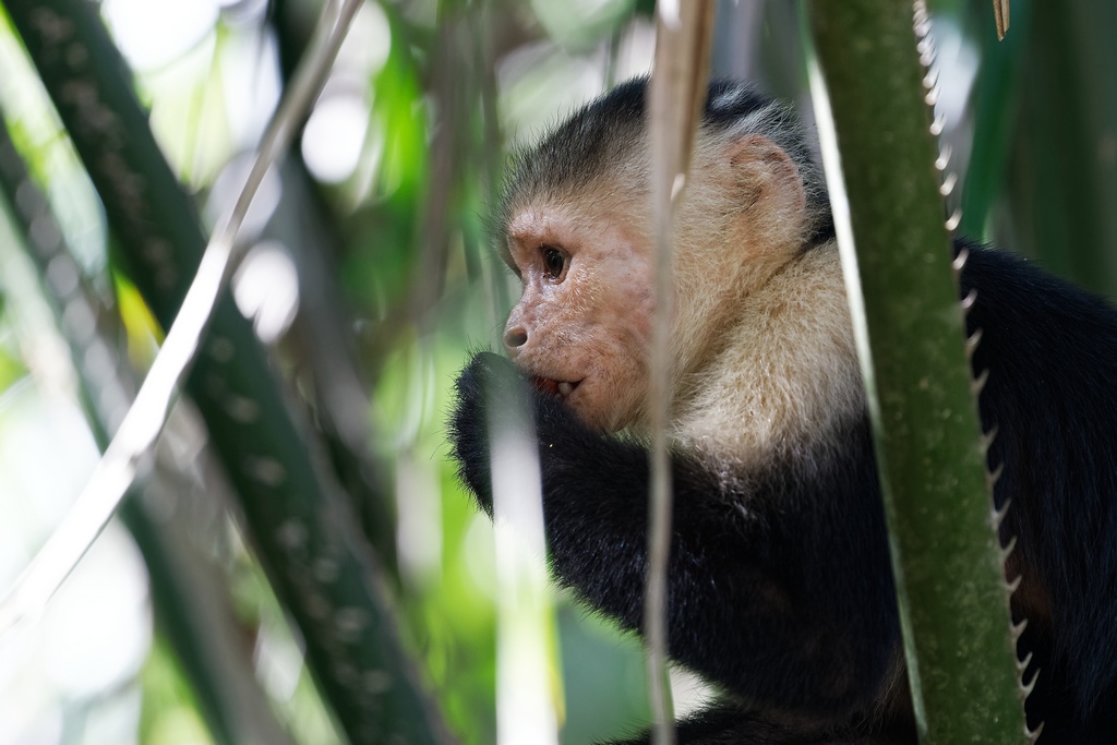 DSC_6490_DxO.JPG