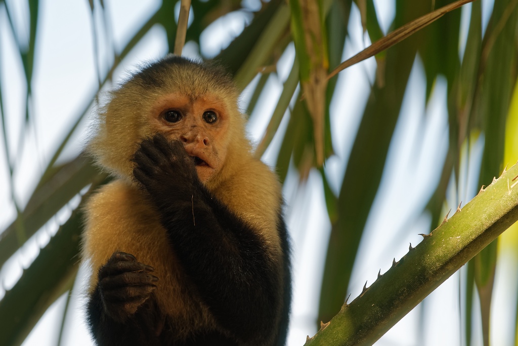 DSC_6493_DxO.JPG