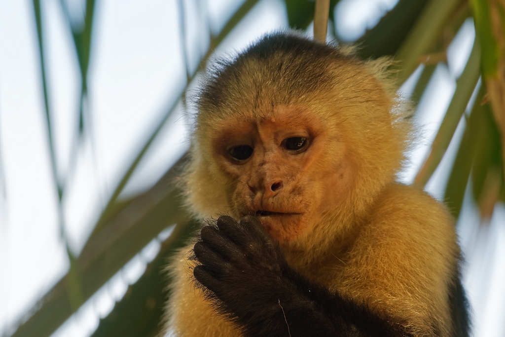 DSC_6494_DxO-2.JPG