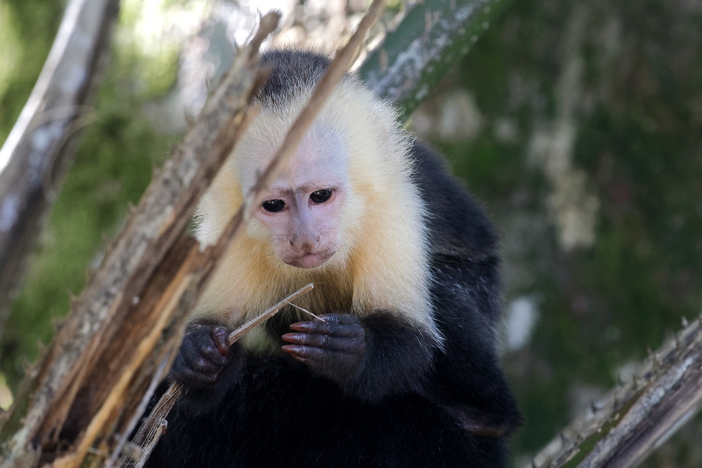 DSC_6554_DxO.JPG