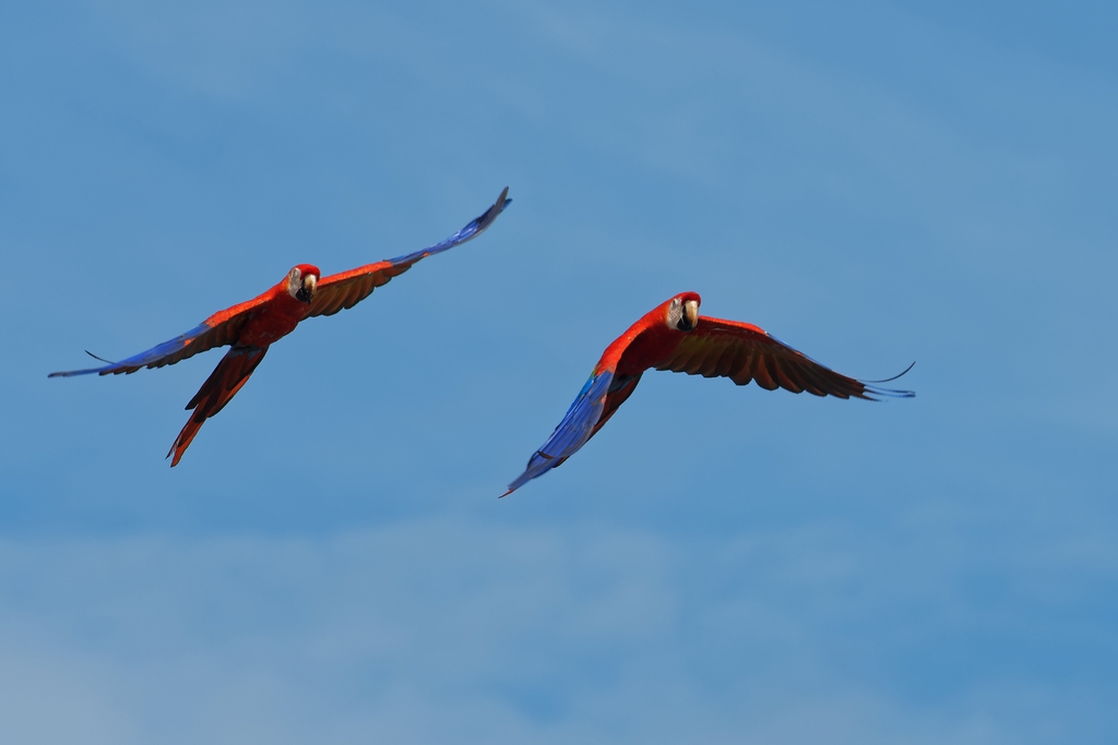 DSC_6529_DxO.JPG