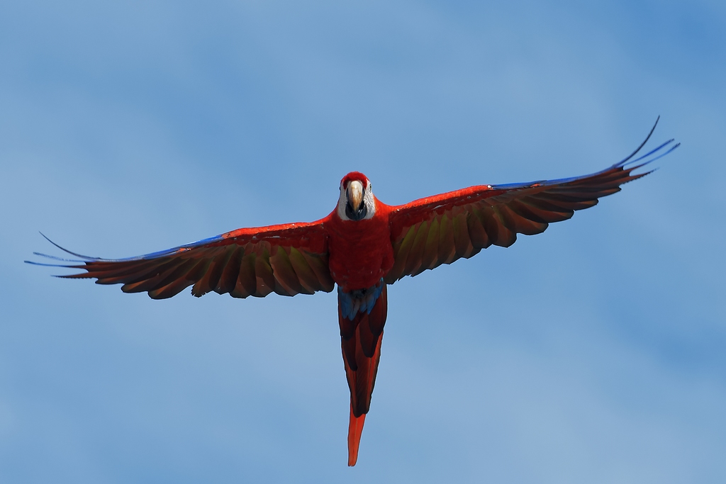 DSC_6531_DxO.JPG