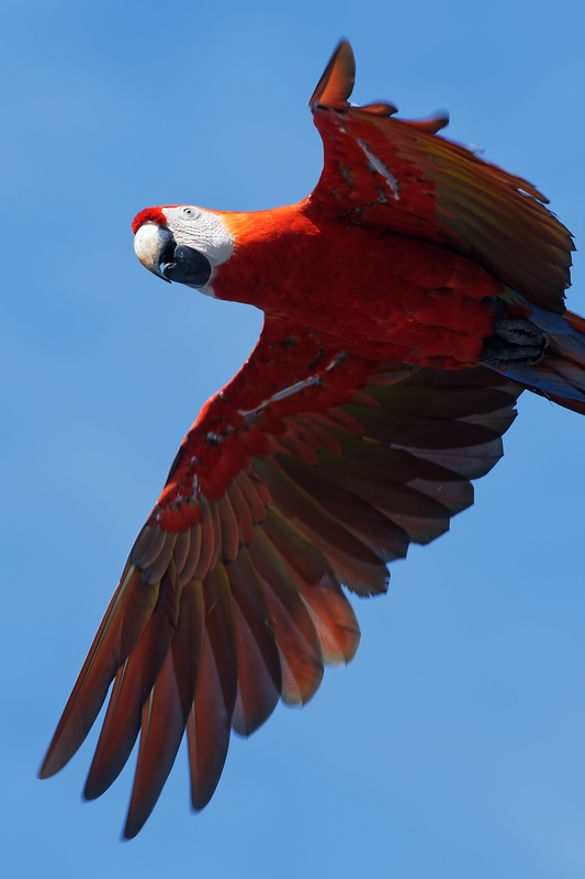 DSC_6535_DxO.JPG
