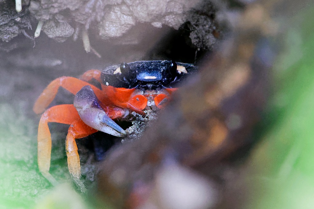 DSC_6564_DxO.JPG
