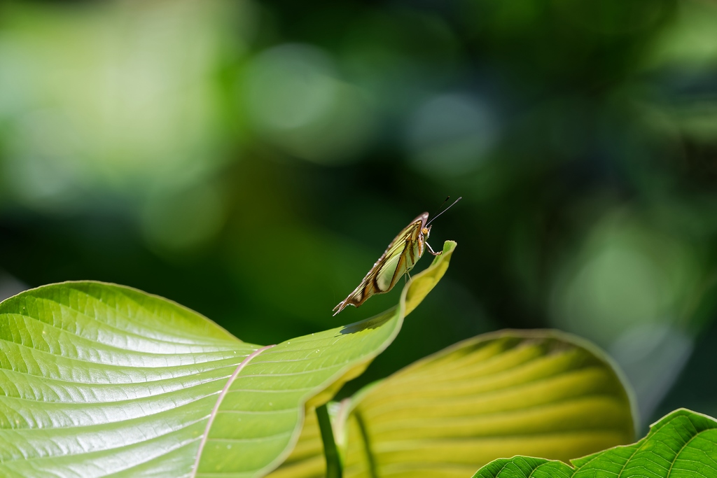 DSC_6569_DxO.JPG