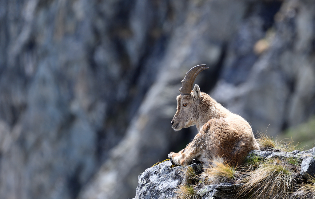 DS5_3379.jpg