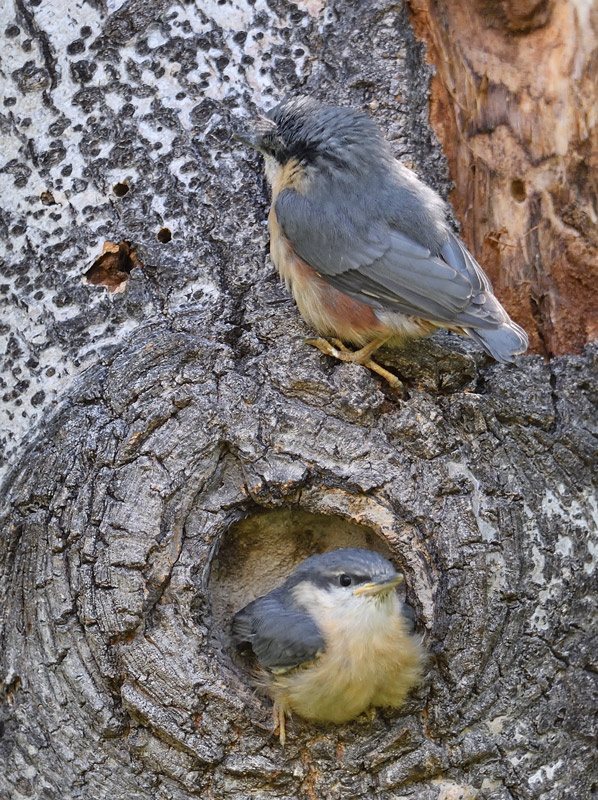 DS5_2924.jpg