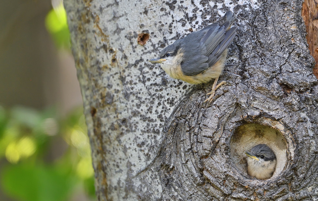 DS5_2946.jpg