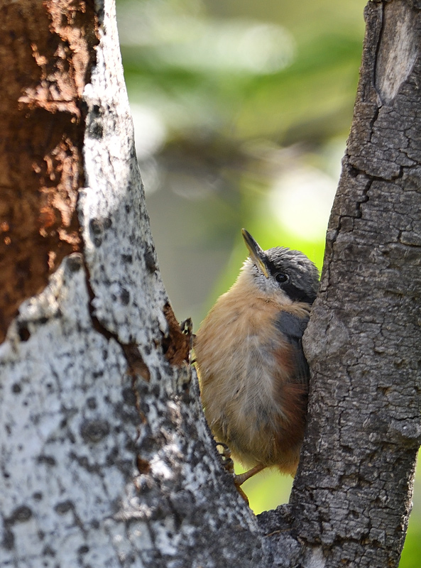 DS5_2956.jpg