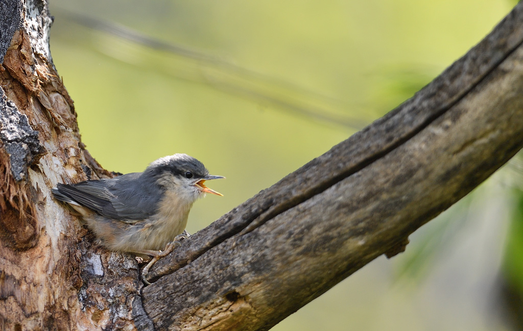 DS5_2958.jpg