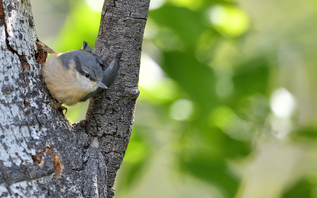 DS5_2970.jpg