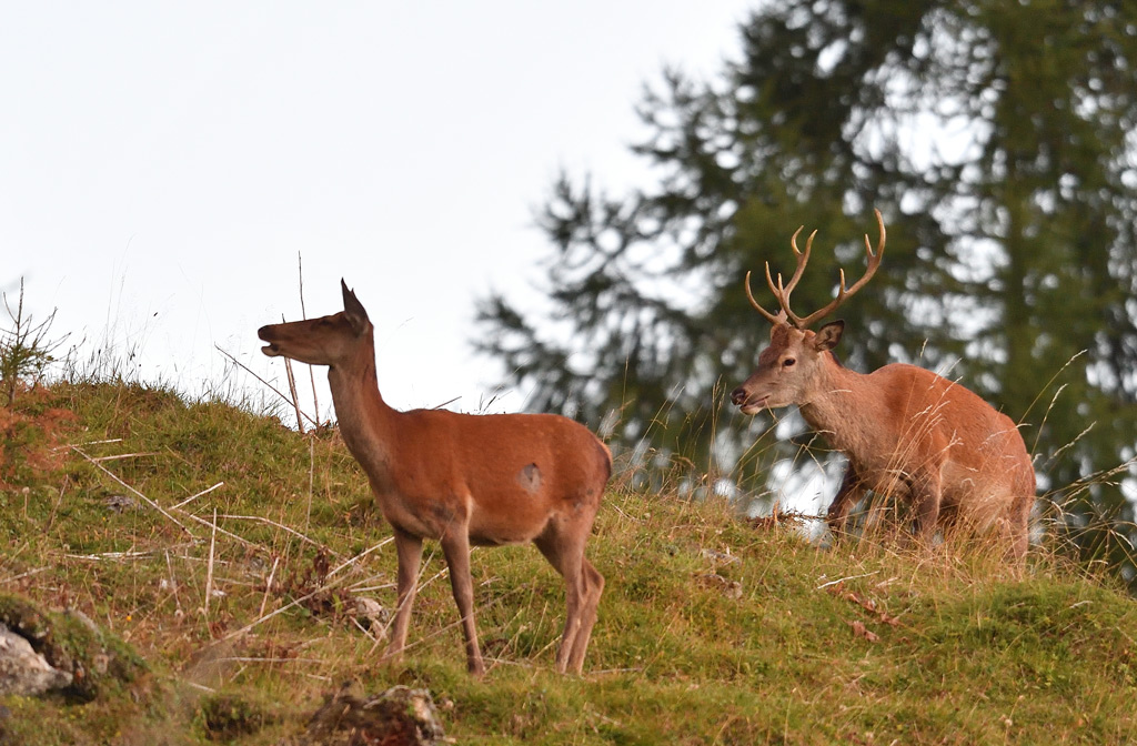 DS5_1610.jpg