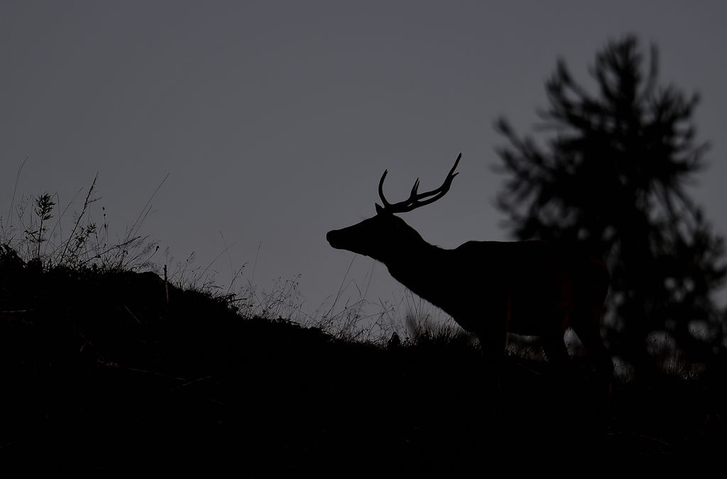 DS5_1615.jpg