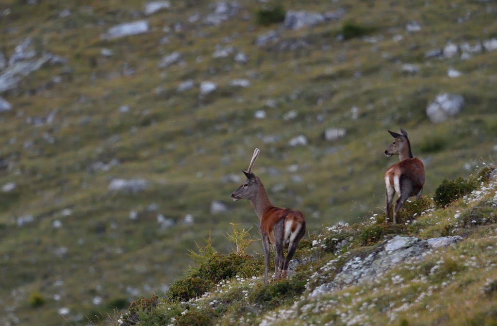 DS5_1641.jpg