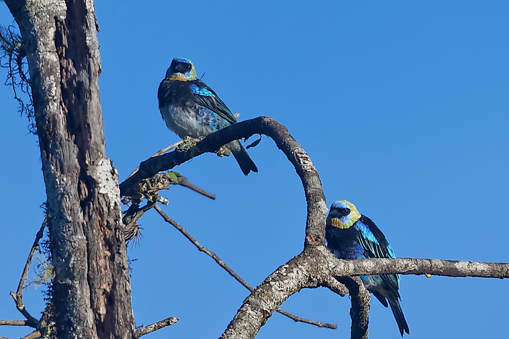 DSC_6645_DxO.JPG